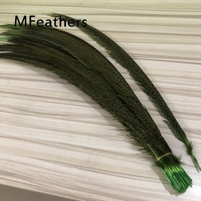 natural apple green Перья 50 шт. Королевский синий окрашенные золотые хвосты фазана перо 60-75 см длинные курица Зебра перо Алмазный фазан для карнавального декора - Цвет: natural apple green