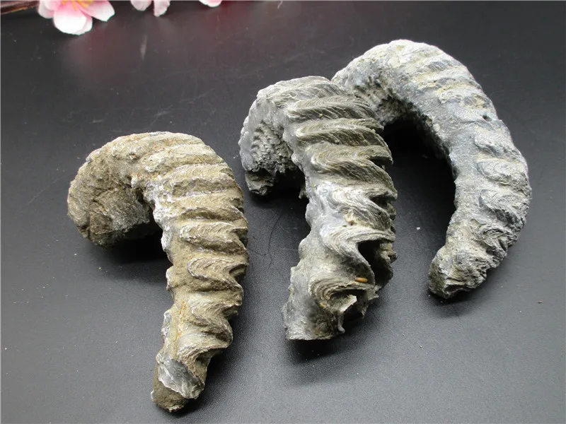 Горячая Распродажа лучший натуральный роговый винт супер нефритовый не