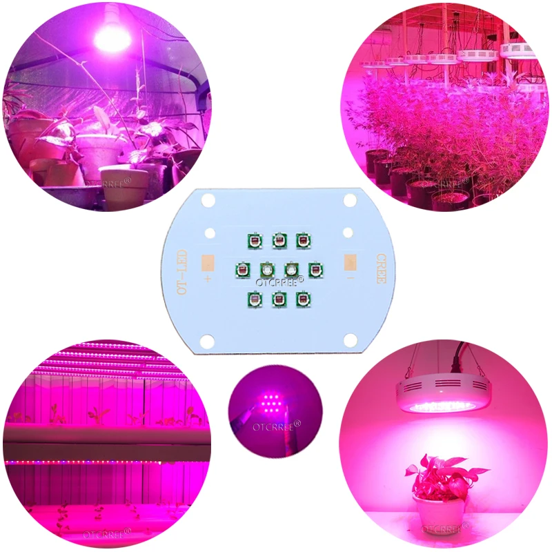 30W Cree XP-E Plant Grow Multi-Chip LED Lamp Light Deep Red 660nm+ Royal Blue 450nm Diode Bulb+Driver For Plant Fruit Growth