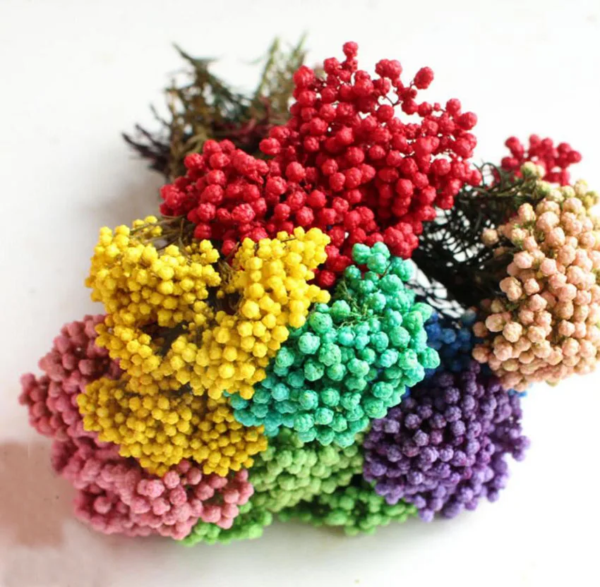 30 г Ozothamnus Diosmifolius консервированный цветок для свадебной вечеринки украшения дома