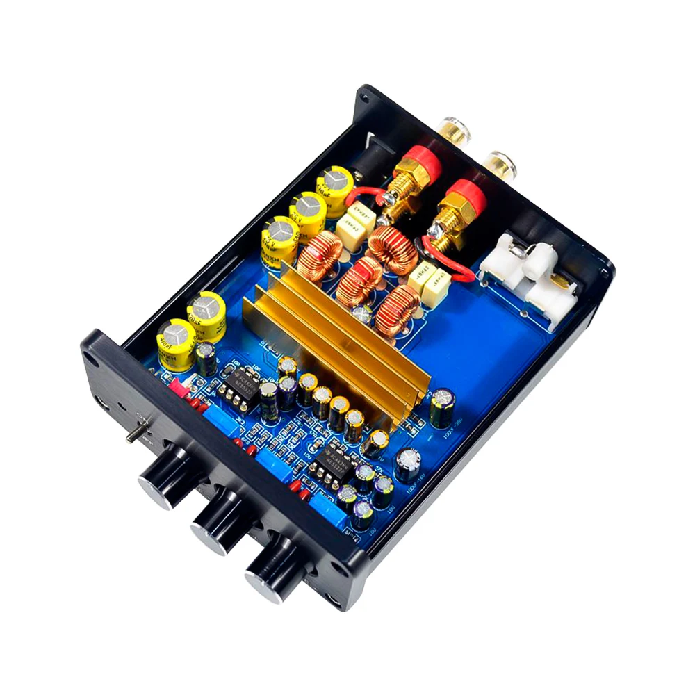 AIYIMA 2,0 Hifi Fever аудио усилитель звука доска двойной чип TPA3116x2 NE5532 Класс D Мощность стерео усилитель 2x100 Вт Amp