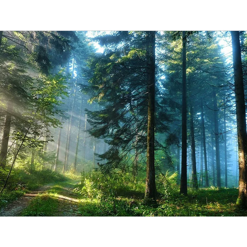 Алмазная вышивка Берёзовый лес пейзаж для самостоятельного создания картины из