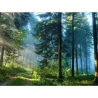 Алмазная вышивка Берёзовый лес пейзаж для самостоятельного создания картины из кристаллов рукоделие мозаика вышивка крестиком домашний декор