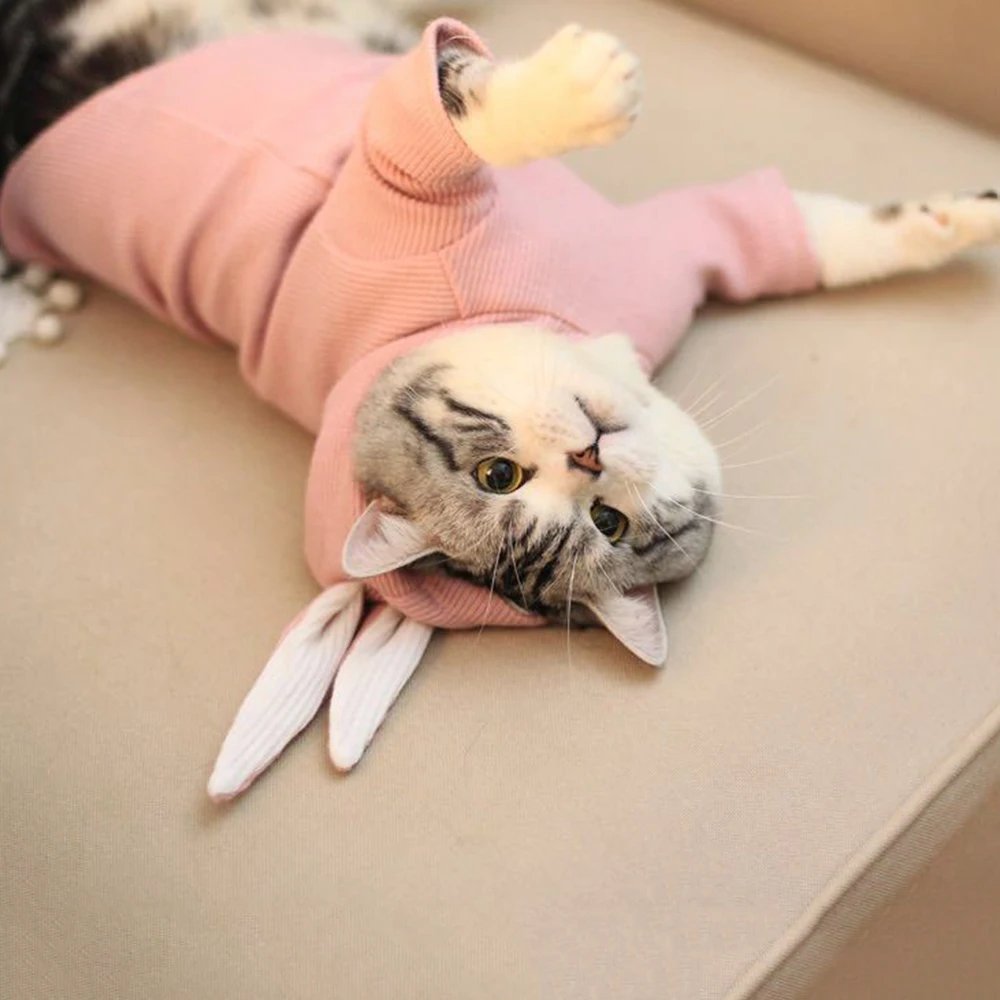 Rabbit Ear Sweater Dog Than Bear Teddy Law Fighting Cat Clothes Pet Autumn And Winter Spring Summer Thin Section |