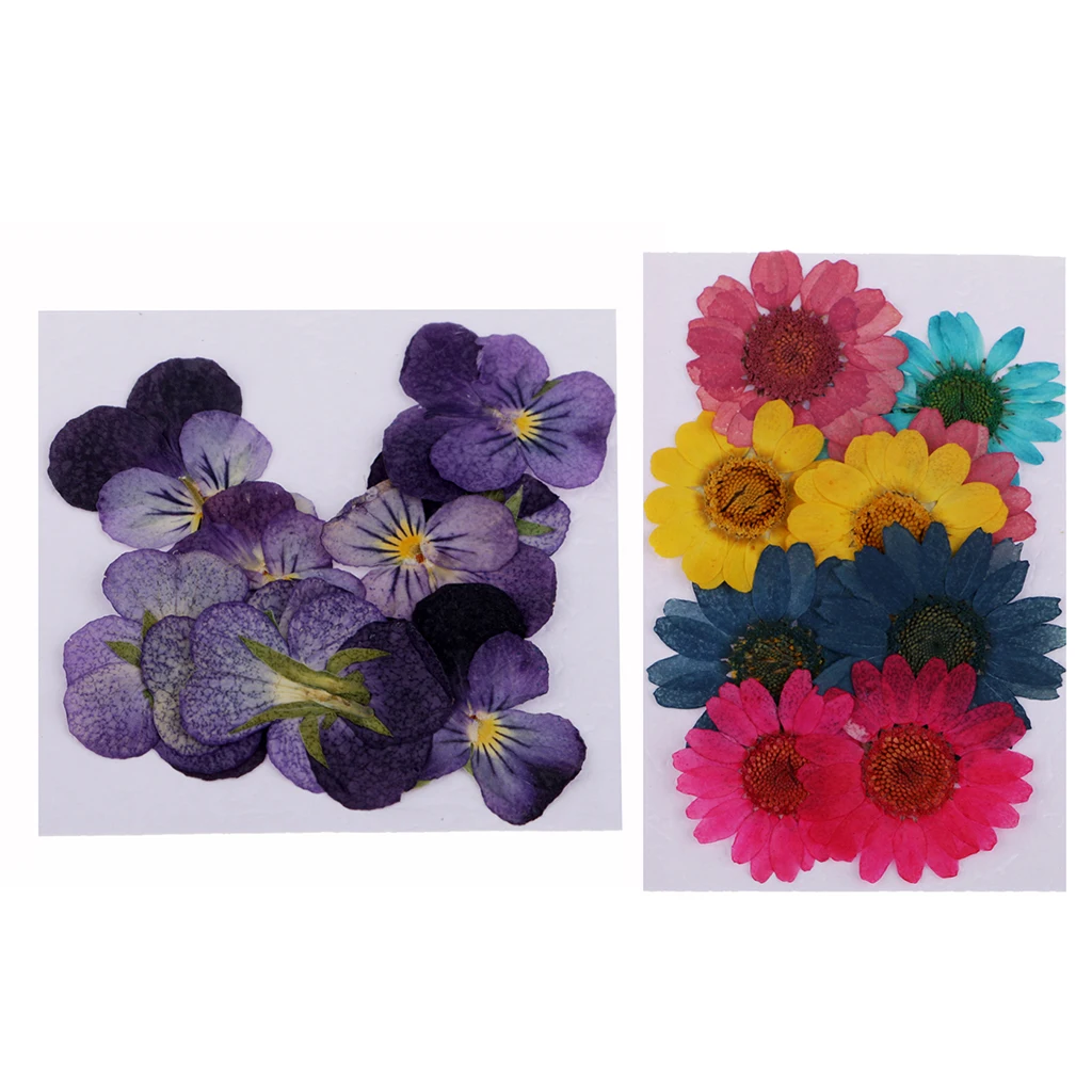 22 шт различные формы Цвета прессованный высушенный цветы набор сделай сам для