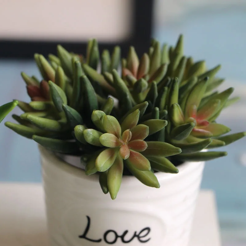 2 шт./компл. Искусственные суккуленты Мини Осьминог коготь растения Трава пустыня