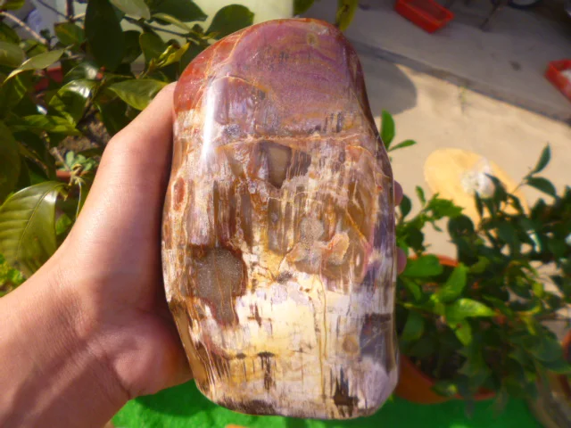 1522 г (3.34 фунта) природные окаменелое дерево Fossil Rock полированная Мадагаскар DRD017 |