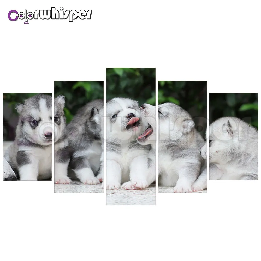 

5d Diy Diamond Embroidery Baby Husky Dog 5pcs Diamond Painting Cross Stitch Full Square Rhinestone Mosaic Home Decoration 918DP