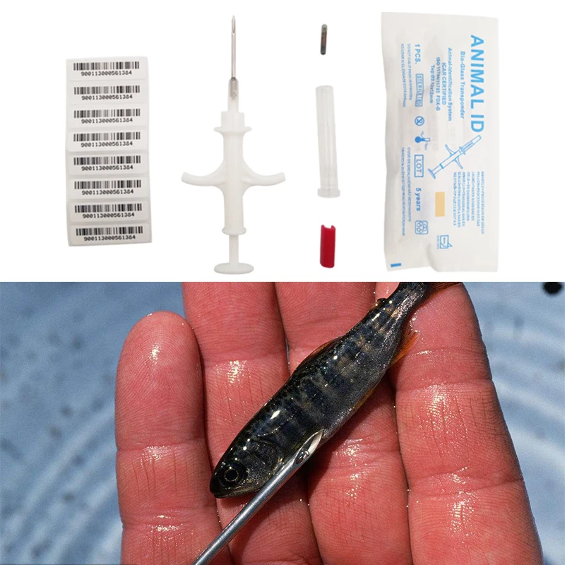 Как выглядит чип для кошек фото