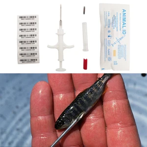 Биостекло Rfid 8 мм Микрочипы Животных Bios Жетоны для собак Инъекционный микрочип для домашних животных Идентификационный номер Транспондер для Лошадь Рыба