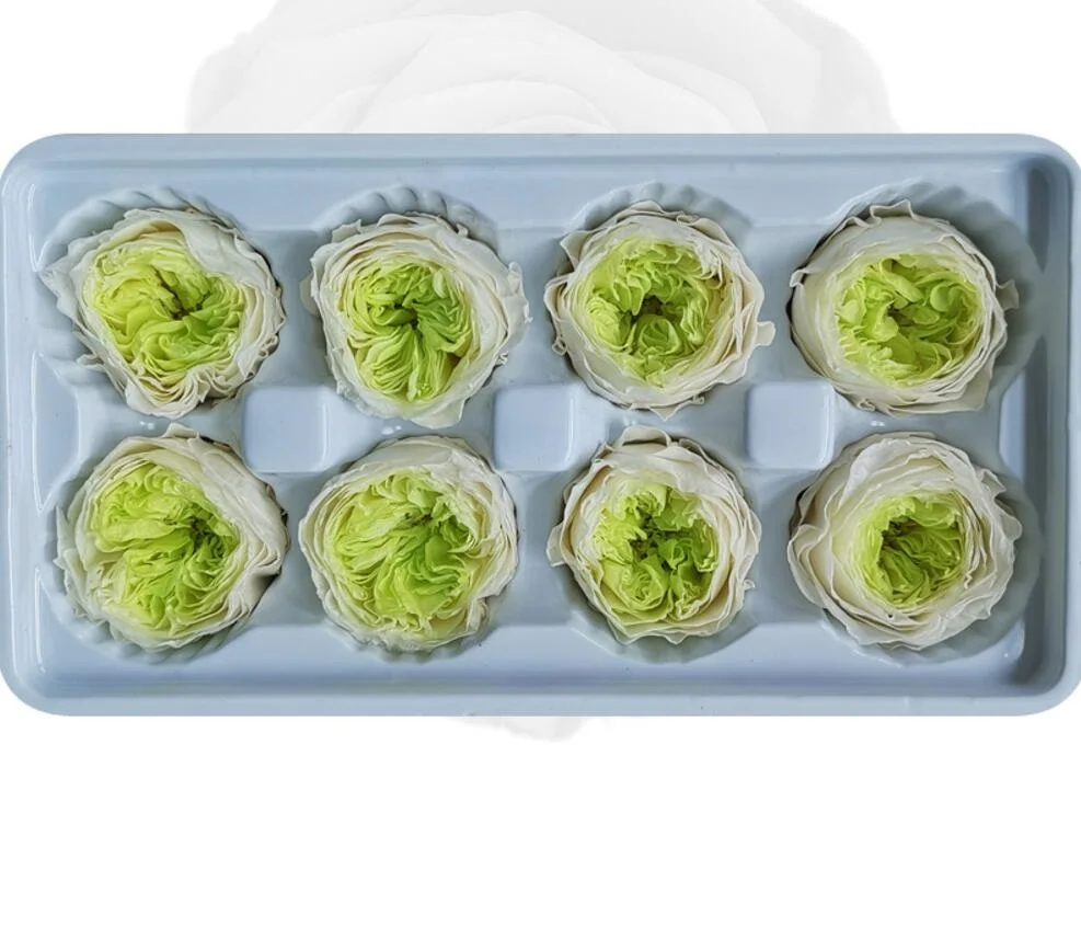 8pcs 4-5cm Preserved Flower Austin Rose Bud Head For Wedding Party Holiday Birthday Velentine's Day Gift Favor | Дом и сад