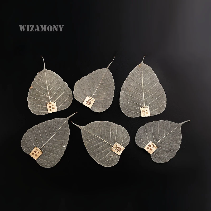 10 шт.! Чайный набор WIZAMONY Bodhi креативный сетчатый чайный китайский чайные чашки