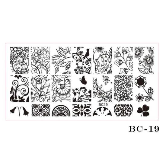 BC19 STZ 1 шт. пластина для стемпинга для нейл-арта шаблон кружева цветок лист Бабочка трафареты печать для ногтей Полировка плесень маникюрные инструменты BC01-20 - Цвет: BC19