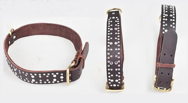 Товары для домашних животных товары собак тренировок на открытом воздухе