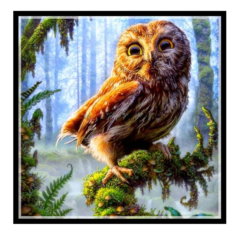 

2017 Needlework,DIY DMC 14CT Cross stitch Kit,The night owl home arts Pattern Embroidery Cross-stitch Painting Home Decor New