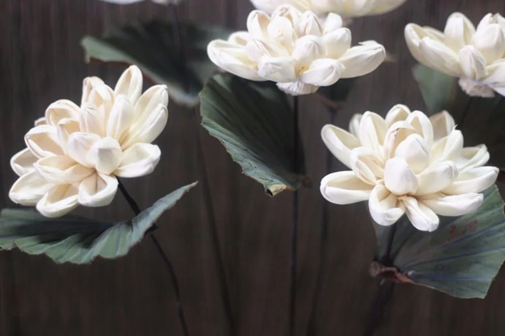 5 шт. белые сушеные цветы лилии для свадебной вечеринки украшения дома отеля