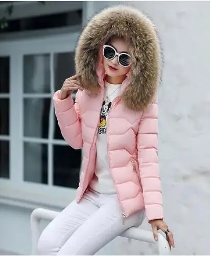 pink 2 Хит! Новая модная зимняя куртка для женщин искусственный мех енота Воротник Зимнее пальто женские парки теплый пуховик женская верхняя одежда - Цвет: pink 2