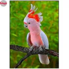 Алмазная 5D Вышивка с птицами какаду, вышивка крестиком, мозаика, полноразмерная круглая картина с рисунком канва, настенные картины