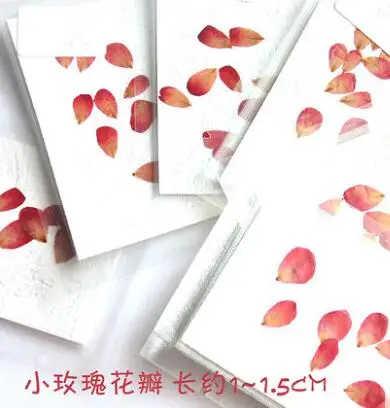 no.5(10pcs) Coreopsis Роза натуральный сушеный цветок лепесток для DIY свеча делая цветы образец прессованный цветок ремесло - Цвет: no.5(10pcs)
