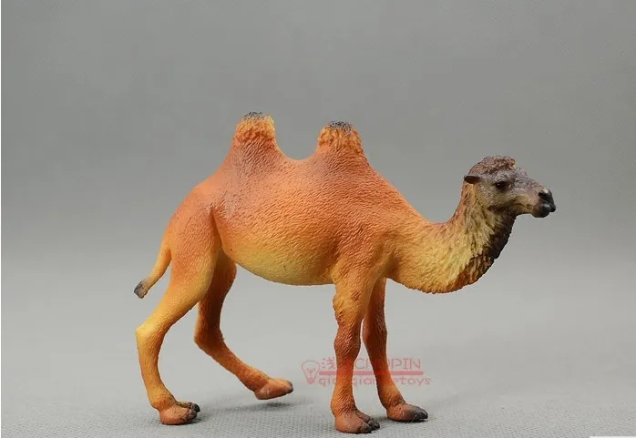 

Bactrian camels pvc figures Animas ! solid animal model toy decoration