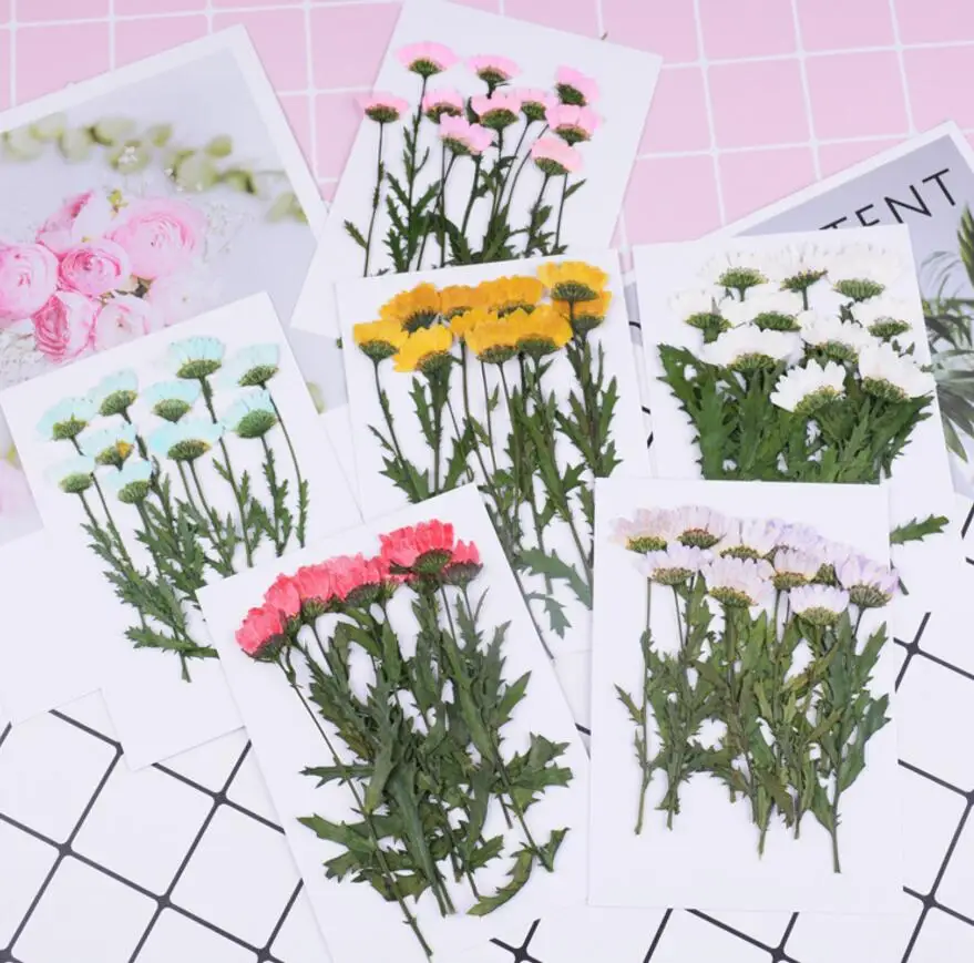 250 шт прессованный высушенный Хризантема с листьями наполнитель для эпоксидной