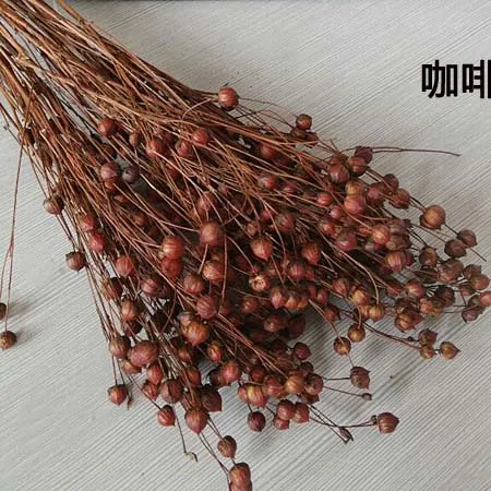40-50 г DIY консервированные Цветочные украшения материал, сушеные натуральные цветы мини Звезда фруктовый букет, бусинки, свадьба, домашний декор