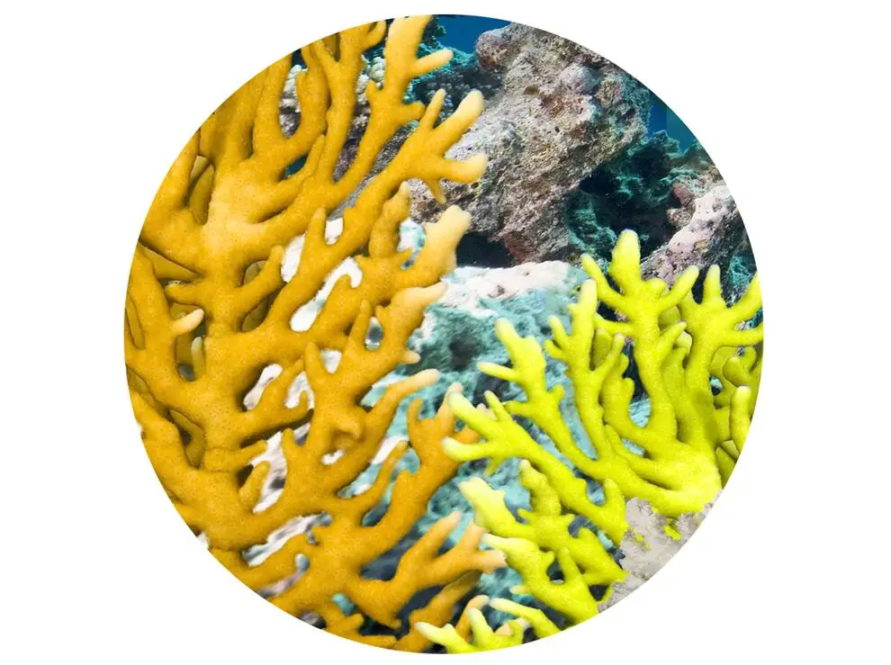 Фотообои на заказ 3d обои подводный мир Акула тема космос полный дом фон настенные