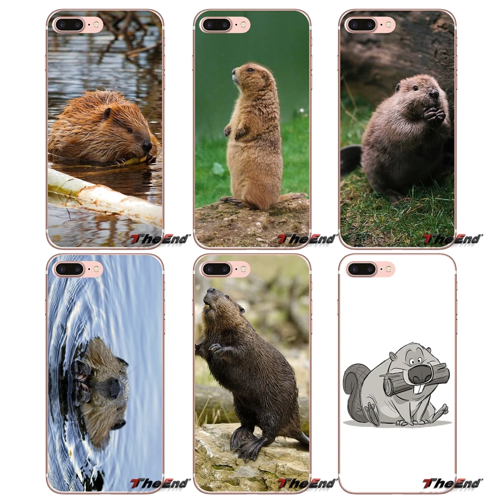 Силиконовый чехол для iPhone X 4 4S 5 5S 5C SE 6 6S 7 8 Plus Samsung Galaxy J1 J3 J5 J7 A3 A5 2016 2017 Beaver Zoo|silicone