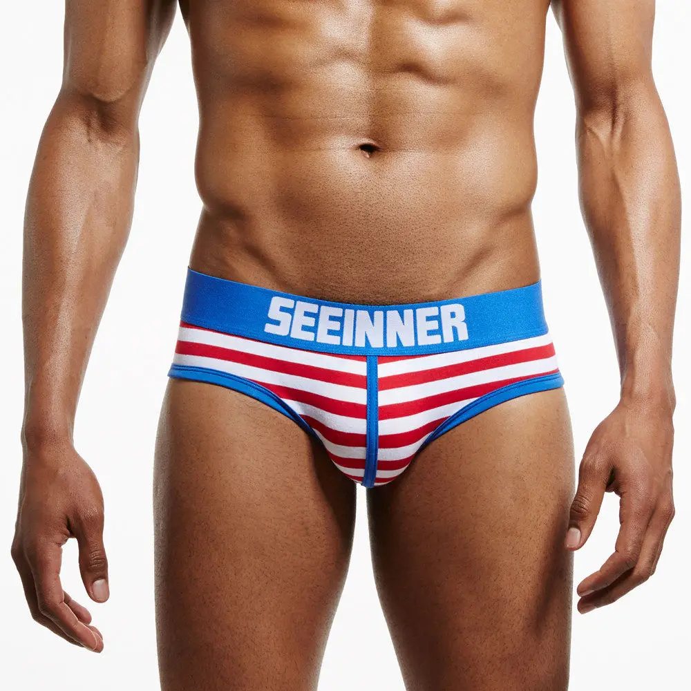 4-PACK Seeinner нижнее белье для мужчин трусы мужские сексуальные бикини хлопок трусики