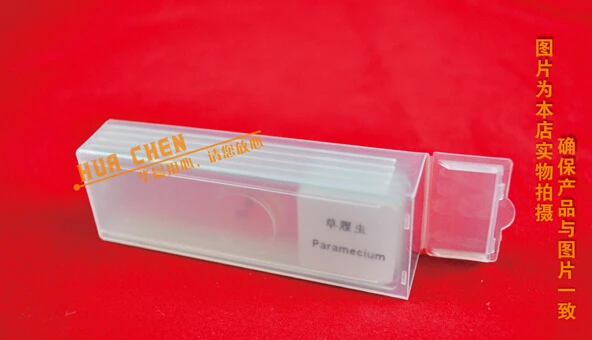 5 шт. стеклянный био микроскоп подготовленный для базовой науки биологический