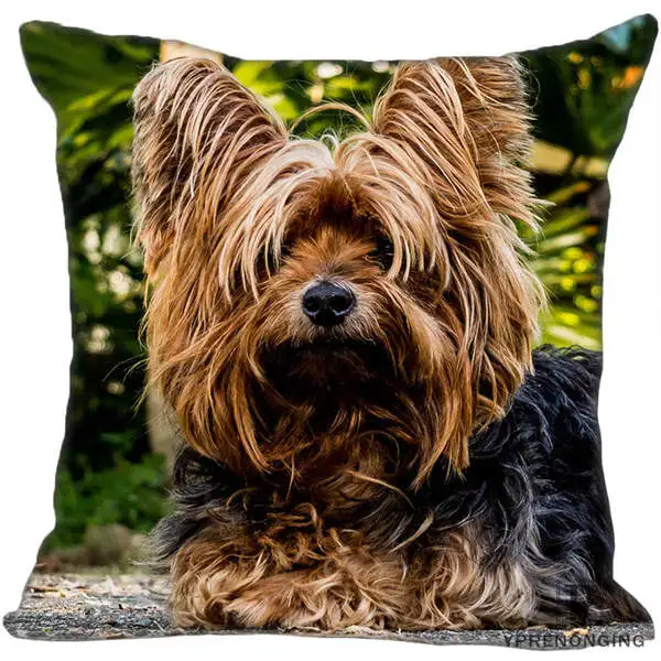 Square Pillowcases Декоративная Наволочка на заказ, йоркширский терьер, квадратная Наволочка на молнии, наволочки 35X35,40x40,45x45 см(одна сторона) 180516-14 - Цвет: Square Pillowcases