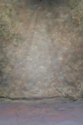 10x20 футов ручная роспись муслин мягкий нейтральный загар старый мастер фото фон, foto achtergrond, Свадьба Фотография Студия фоны