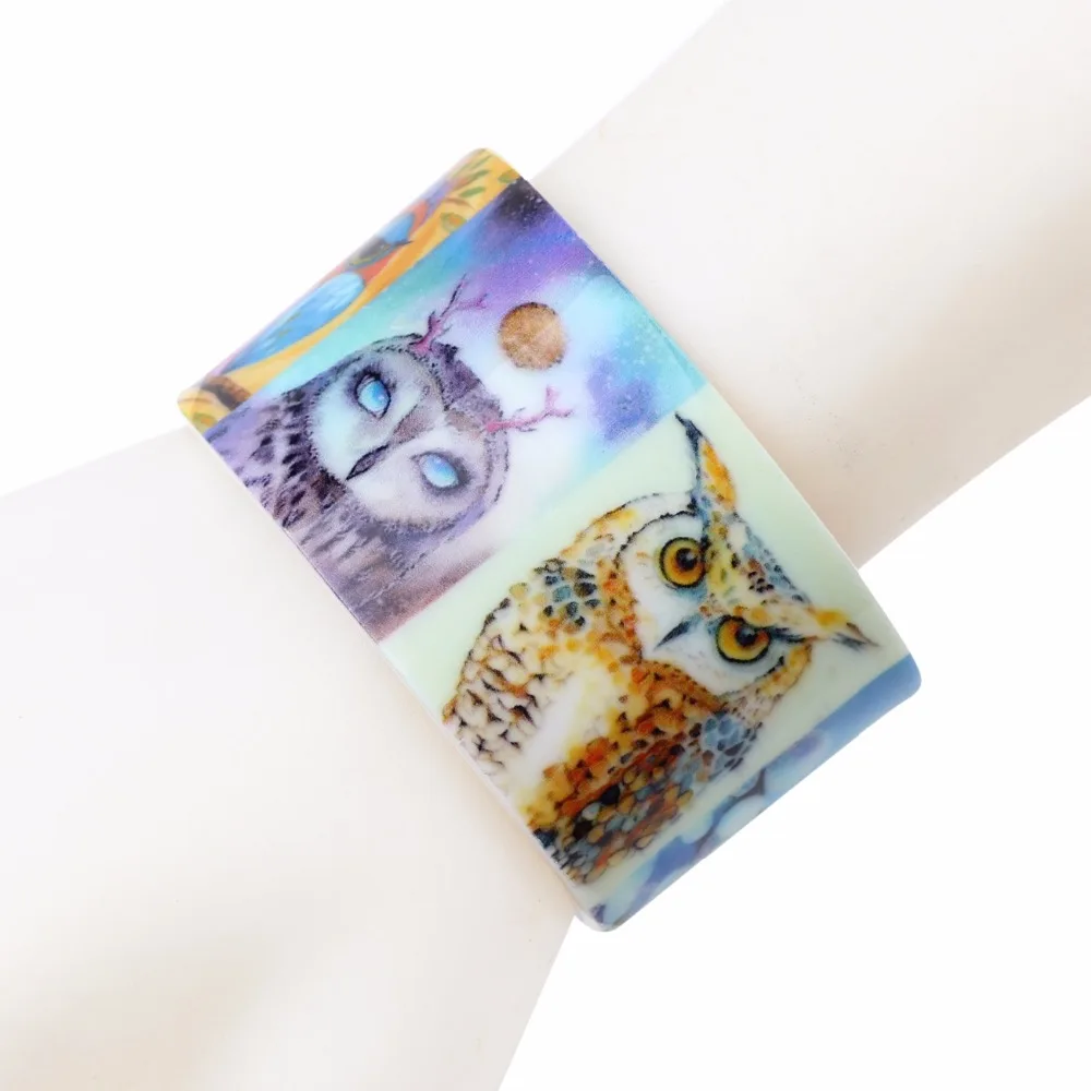 Bonsny Acrylic Design Love Wide Owl Bangles Bracelet Jewelry For Women 2017 New Animal Bangle Gift Girls Bijoux | Украшения и