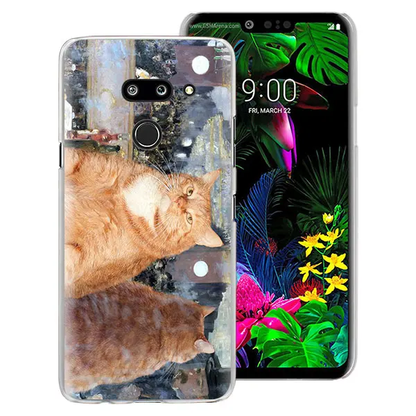 Забавный художественный эстетический чехол для телефона, чехол для LG G7 G8 ThinQ G5 G6 V30 V40 V50 ThinQ Q6 Q7, жесткий чехол-накладка - Цвет: 12