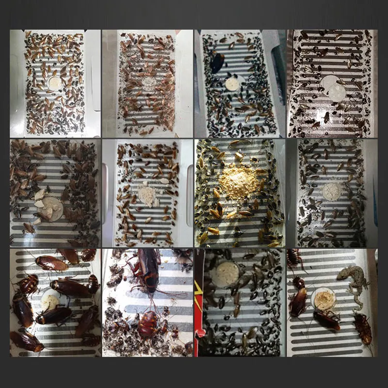 Ловушка для тараканов 5 шт./компл. приманка средство уничтожения мощная липкая