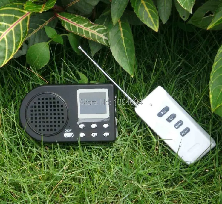 

louder bird voice hunting bird call quail sounds decoy