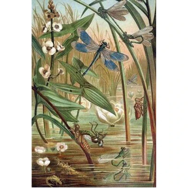 Вышивка рукоделия. Самостоятельная алмазная живопись 5D. Декор стены с изображением болотной драконьей мухи. DA120.