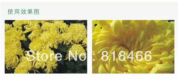 77 мм Макро Обратный объектив адаптер кольцо для CANON EOS EF Крепление объектива