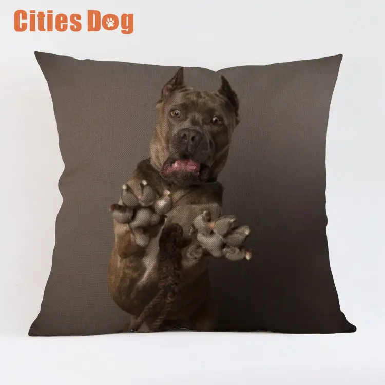 Рождественские украшения для домашние подушки Чехлы для подушек Cane Corso собака наволочка dakimakura almofada животных диван almofadas cojine - Цвет: DWG0007