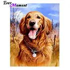 Алмазная живопись с собакой Ever Instant, квадратная картина 5D сделай сам, картина из страз, алмазная вышивка ручной работы, мозаика ASF1345