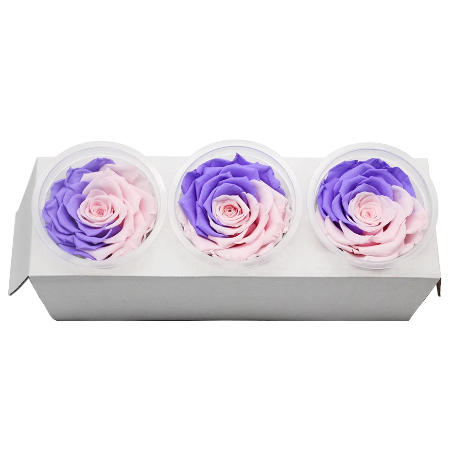 1 коробка Eternal Flores консерванты натуральные сухоцветы консервированные цветы бесморская Роза 8 см подарок на день Святого Валентина день рождения