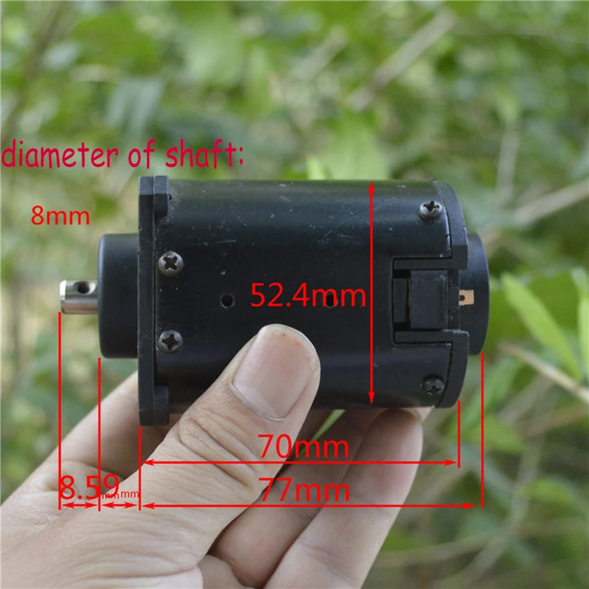 DC24V 220V 2700 об/мин 220 микро мотора угольные щетки шарикоподшипник 12 полюс роторы