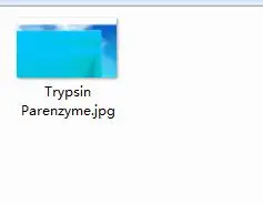 100 грамм набор тагатоза путаотан - Цвет: 50g Trypsin Parenzym