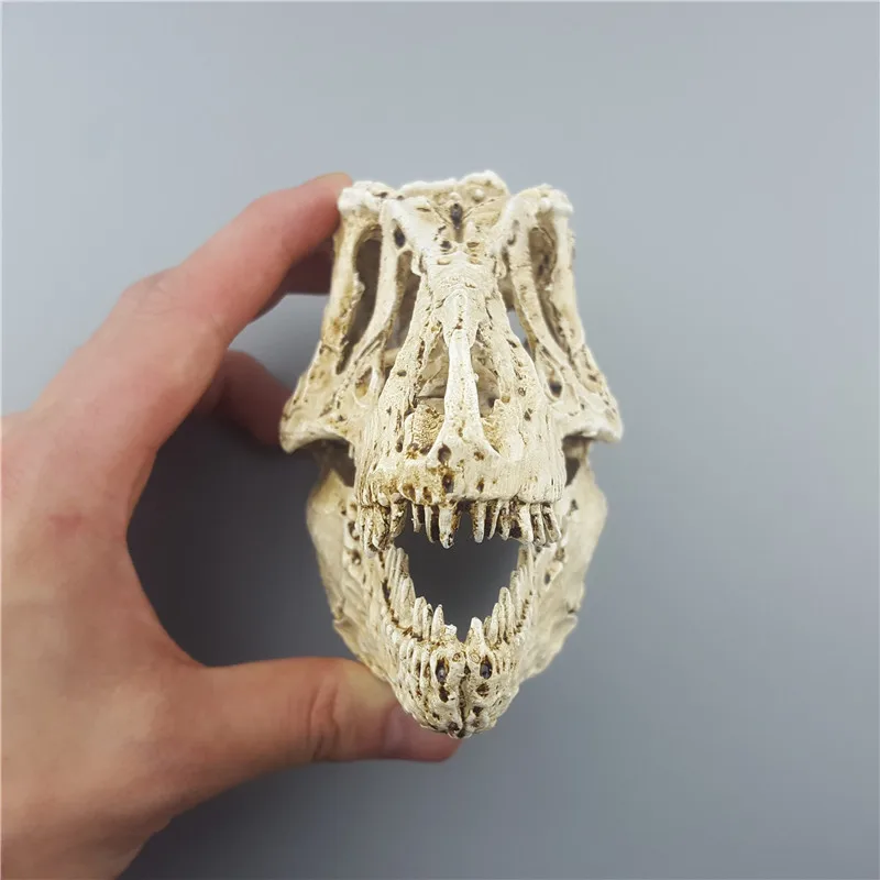 

MRZOOT Resin Craft Statues For Decoration Skull Dinosaur Skeleton Model Animal Research Teaching For Creative Home Decor