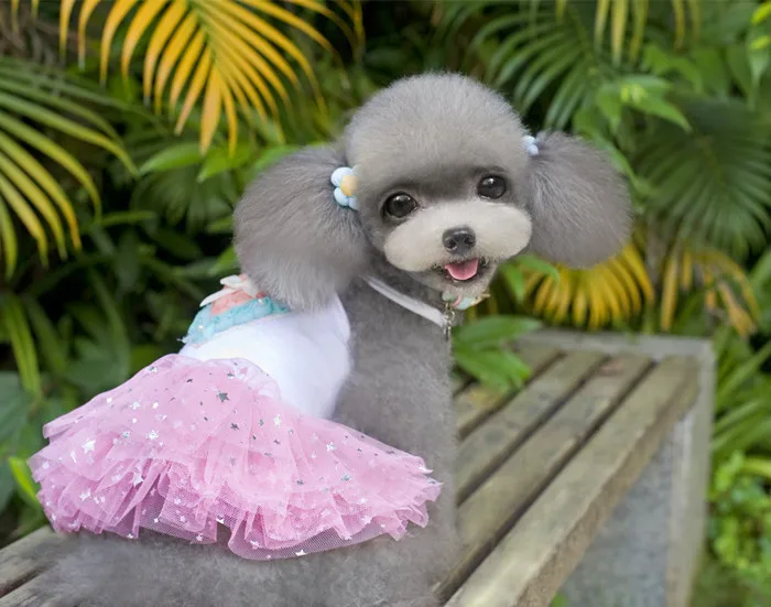 2016 новейшая для домашних собак платье пачка мопса одежда маленькие собаки