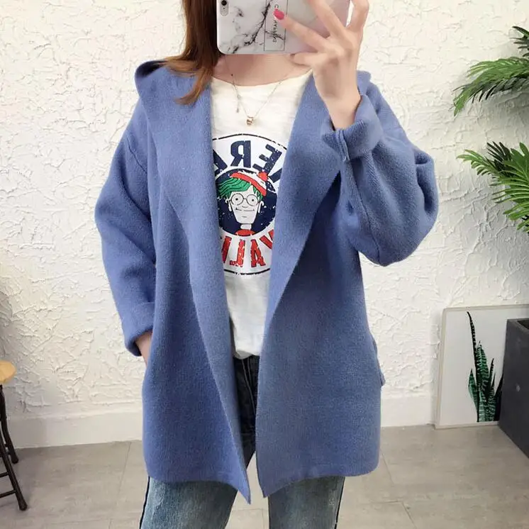 2019 Hooded Cardigan Women Knitted sweater Long Sleeve Autumn And Winter New Fashion Thick women's sweaters |
