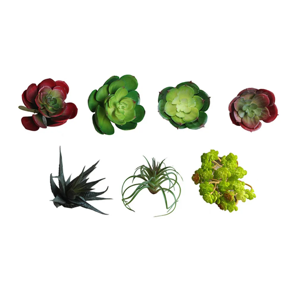 7 видов искусственных суккулентов растения лотоса трава пустыня пейзаж