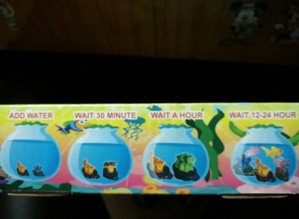 2016 Оригинальные забавные растения для выращивания воды цветы растущие