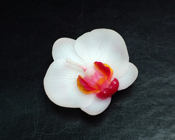 (Упаковка из 10 свечей) Милые свечи фаленопсис Свадебные вечерние подарки на день