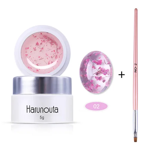 2Pcs Set2 Harunouta цветочный УФ гель сушеные цветы желе розовый дизайн ногтей гель лак инструмент, кисточка для ногтей 3D DIY Дизайн ногтей маникюрный набор - Цвет: 2Pcs Set2